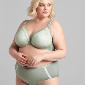 Lane Bryant - Cacique